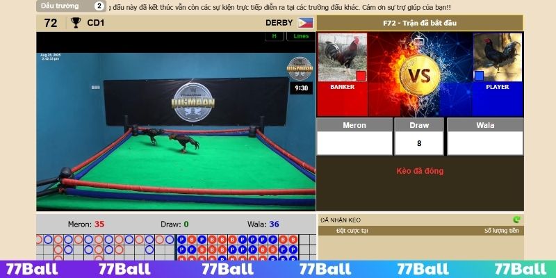 Giải trí uy tín tại danh mục đá gà chất lượng