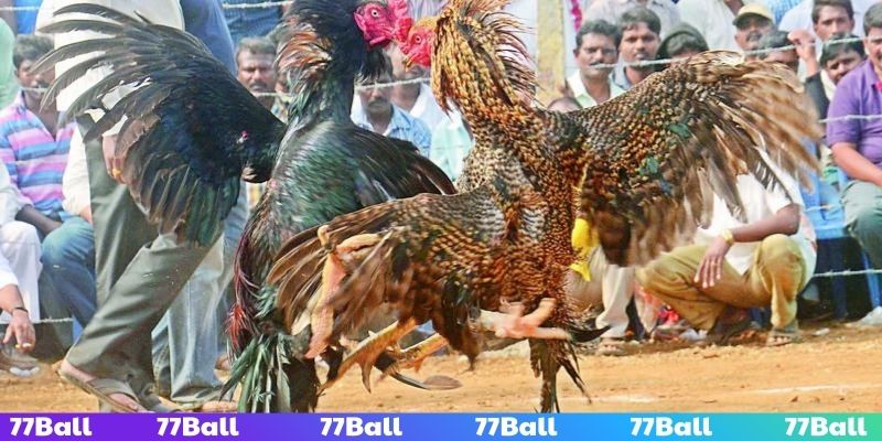 Nắm rõ lưu ý để thành công nhận thưởng cực nhanh