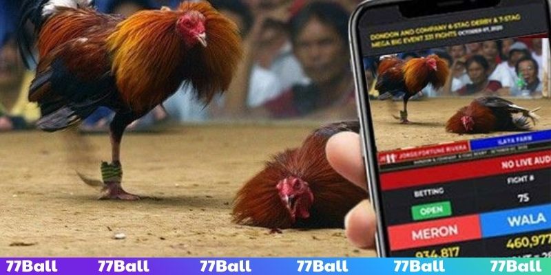 Người chơi dễ dàng theo dõi trận đấu mượt không gián đoạn